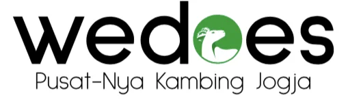Wedoes | Daging Kambing Jogja Sleman Bantul & Kambing Aqiqah Kurban