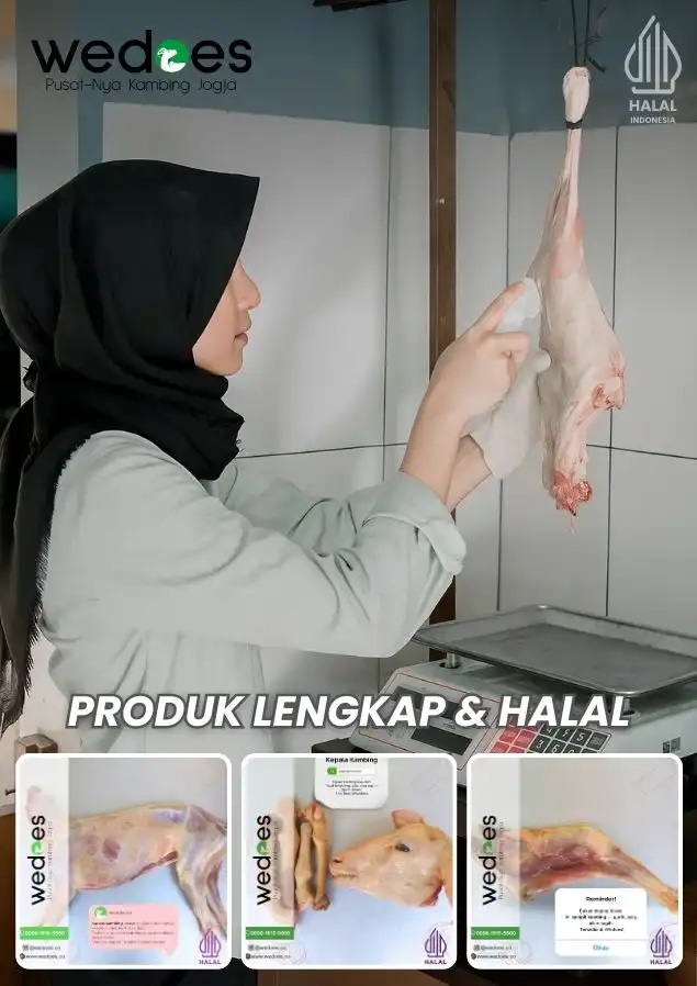 Pegawai Wedoes.co menimbang daging kambing segar halal – produk lengkap Wedoes Jogja Sleman Bantul